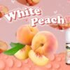 GENESIS 創世紀-系列小煙油30ml 30%
