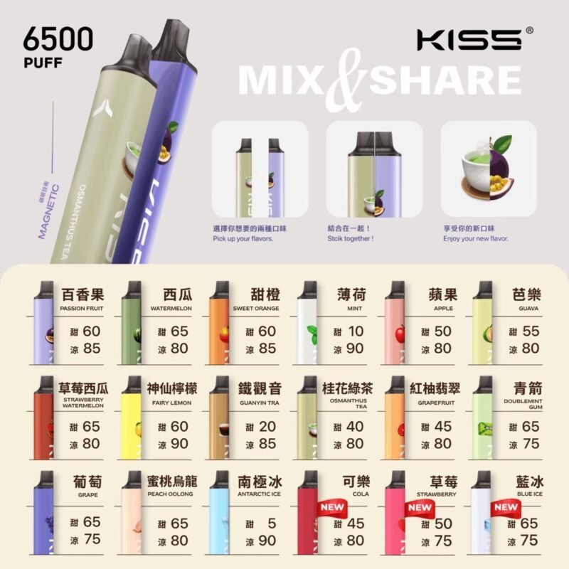 KISS 鎧斯 雙味磁吸 6500口 一次性主機